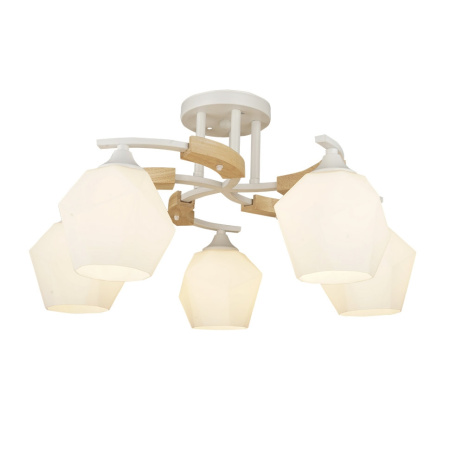 Потолочная люстра Lalio 66587.01.09.05