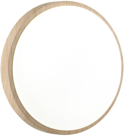 картинка Настенно-потолочный светильник Losta 7607/AL от магазина BTSvet