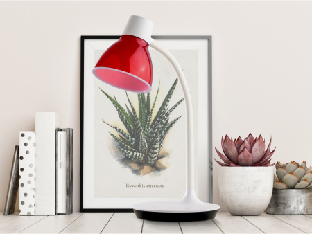 картинка Настольная лампа светодиодная Ракурс для детской 631036201 от магазина BTSvet