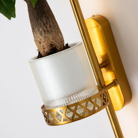 картинка Бра Greenery 4050-2W от магазина BTSvet