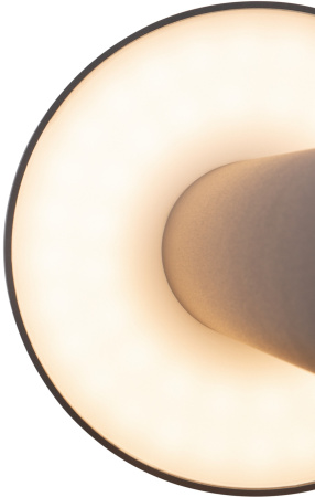 картинка Наземный светильник уличный Wald O420FL-L12GF от магазина BTSvet