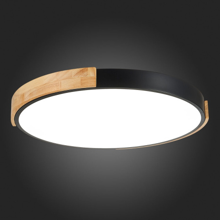 картинка Потолочный светильник светодиодный с регулировкой цветовой температуры Delia SLE201342-01 от магазина BTSvet