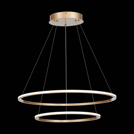 картинка Подвесной светильник светодиодный St604 Out ST604.243.56 от магазина BTSvet