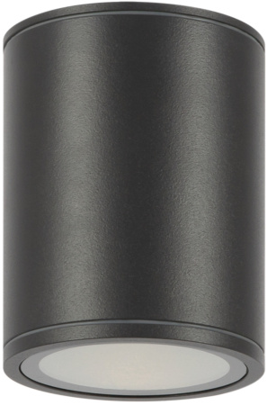 Потолочный светильник уличный Bar O306CL-L12GF