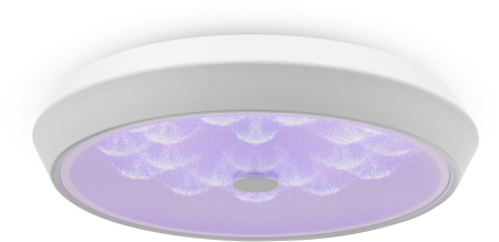 картинка Потолочный светильник светодиодный диммируемый с пультом регулировкой цветовой температуры и яркости Cells FR10012CL-L24W RGB от магазина BTSvet