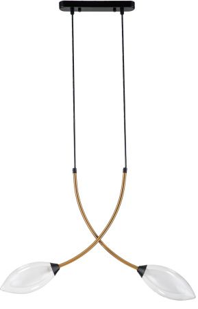 картинка Подвесной светильник Fiore V000140 (13001/2P Black) от магазина BTSvet