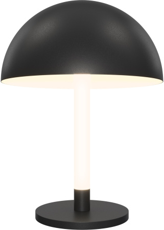 Интерьерная настольная лампа светодиодная с выключателем Ray Z012TL-L8B3K