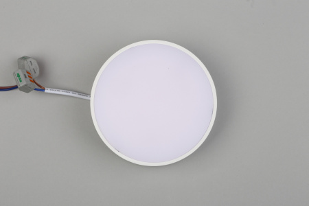 картинка Потолочный светильник светодиодный Evon APL.0113.09.12 от магазина BTSvet