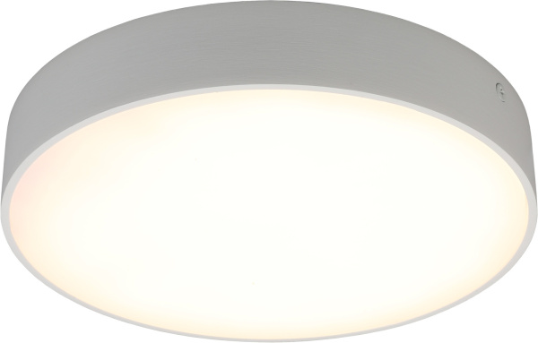 Потолочный светильник светодиодный Evon APL.0113.09.24