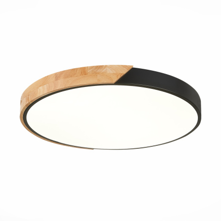 Потолочный светильник светодиодный Festa SLE200942-01