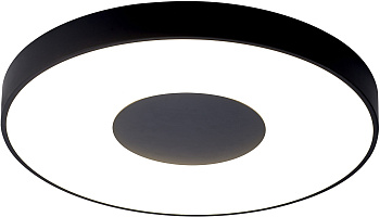 Потолочный светильник светодиодный с пультом регулировкой цветовой температуры и яркости Coin 7564