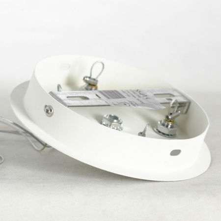 картинка Подвесная люстра Crenshaw LSP-8716 от магазина BTSvet