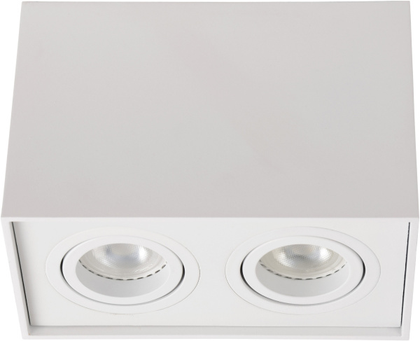 картинка Потолочный светильник Tube 22953/02/31 от магазина BTSvet