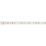 картинка Светодиодная лента RTW-SE-B60-10mm 24V RGBW-White (14.4 W/m, IP65, 5060, 5m) (Arlight, Открытый) 034184 от магазина BTSvet