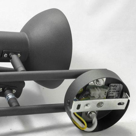 картинка Спот Louisville GRLSP-9976 от магазина BTSvet