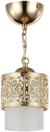 Подвесной светильник Teofilo FR2200-PL-01-G