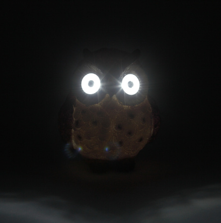 картинка Газонная световая фигура светодиодная на солнечных батареях Сова ERAFYS01-12 от магазина BTSvet