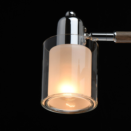 картинка Потолочная люстра Форест 693012505 от магазина BTSvet