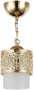 картинка Подвесной светильник Teofilo FR2200-PL-01-G от магазина BTSvet