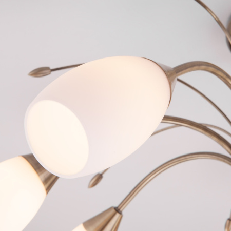 картинка Потолочная люстра Ginevra 30280/8 от магазина BTSvet