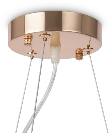 картинка Подвесная люстра Lucrecia FR5217PL-05FG от магазина BTSvet