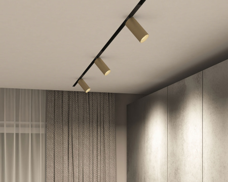 картинка Трековый светильник однофазный Smart Spot DK8020-BG от магазина BTSvet