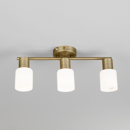 картинка Спот Corso 20089/3 от магазина BTSvet