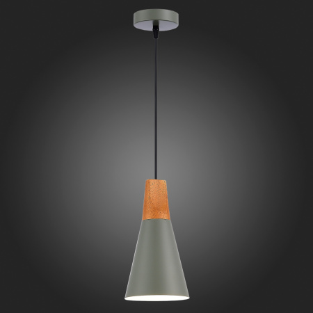 картинка Подвесной светильник Evoluce Modica SLE125173-01 от магазина BTSvet