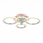 картинка Потолочная люстра светодиодная диммируемая с пультом Cerina SLE500512-04RGB от магазина BTSvet