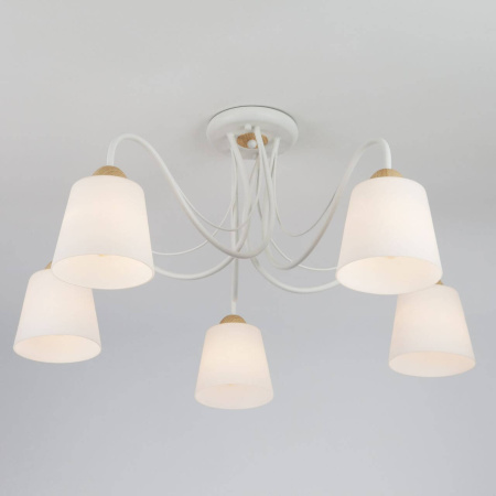 Потолочная люстра Betty 70062/5