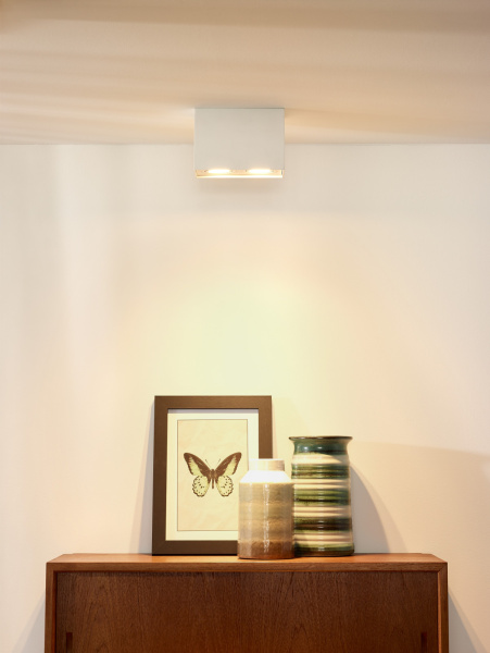 картинка Потолочный светильник Tube 22953/02/31 от магазина BTSvet