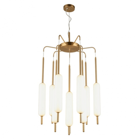 Подвесная люстра светодиодная Carla APL.010.03.80