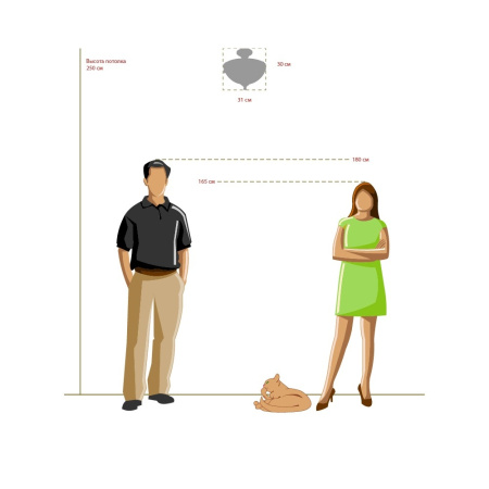 картинка Потолочный светильник Afrodita 317011603 от магазина BTSvet