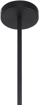 картинка Потолочная люстра на штанге Chart 3092-10P от магазина BTSvet