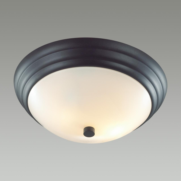 картинка Настенно-потолочный светильник Kayla 5263/2C черный E27 2*60W от магазина BTSvet