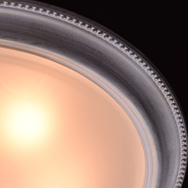 картинка Потолочный светильник Ariadna 450013505 от магазина BTSvet
