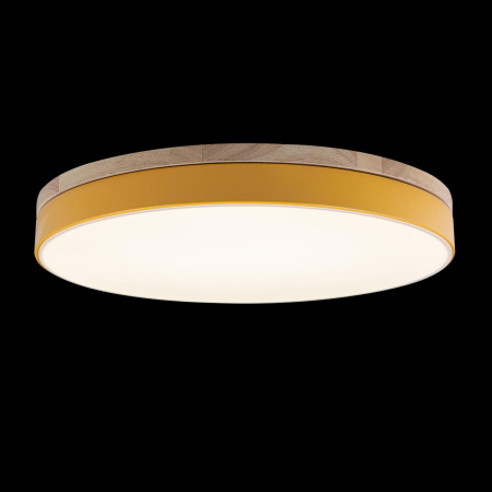 картинка Потолочный светильник светодиодный Axel 10001/36 Yellow от магазина BTSvet