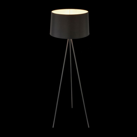 картинка Торшер на треноге Bonita FR5152-FL-01-B от магазина BTSvet