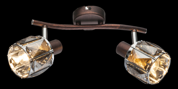 картинка Спот Indiana 54357-2 от магазина BTSvet