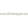 картинка Светодиодная лента IC2-20000 24V Warm3000 2x 12mm (2835, 120 LED/m, Long) (9.6 Вт/м, IP20) 024592 от магазина BTSvet