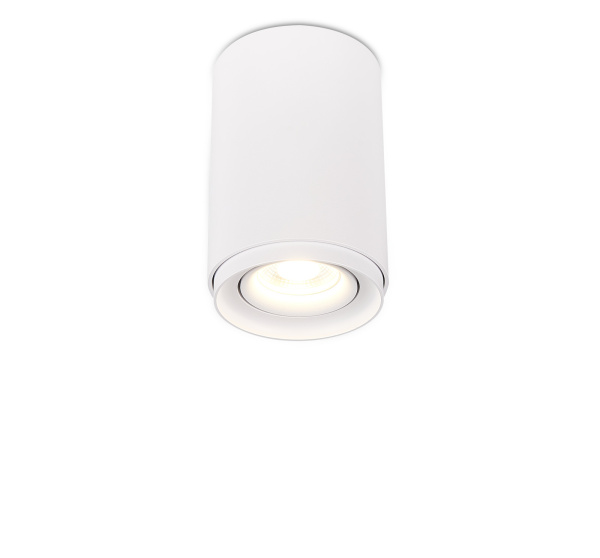 Накладной светильник 2065-1CLW