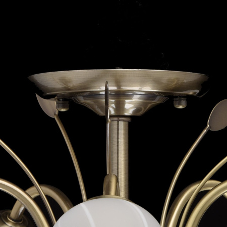 картинка Потолочная люстра Flora 256018205 от магазина BTSvet