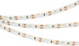 картинка Светодиодная лента RS 2-5000 24V Warm3000 2x2 8mm (3014, 240 LED/m, LUX) (Arlight, 14.4 Вт/м, IP20) 024466 от магазина BTSvet