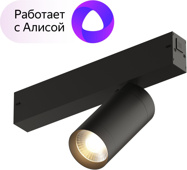 Трековый светильник светодиодный с пультом, управлением смартфоном и голосом, регулировкой цветовой температуры DK8010-BK