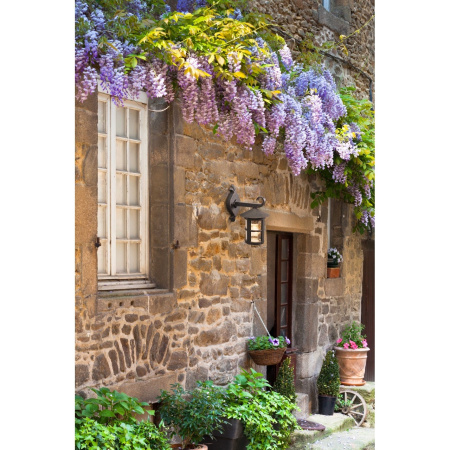 картинка Настенный фонарь уличный Telaur 806020101 от магазина BTSvet