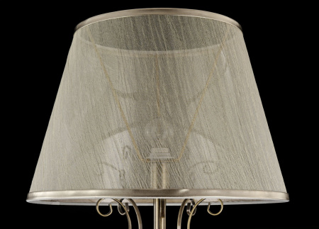 картинка Торшер Driana  FR2405-FL-01-BZ от магазина BTSvet