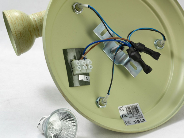 картинка Потолочный светильник Sobretta LSL-2507-03 от магазина BTSvet