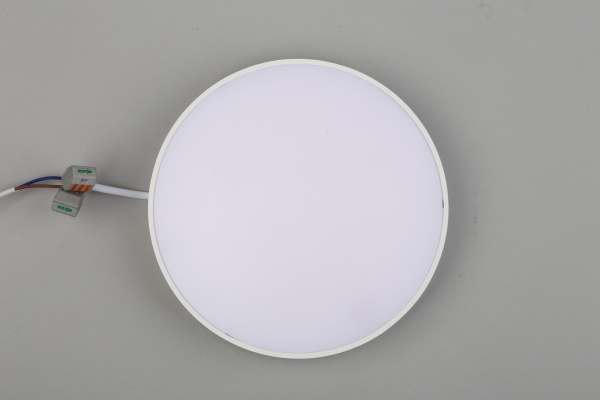 картинка Потолочный светильник светодиодный Evon APL.0114.09.24 от магазина BTSvet