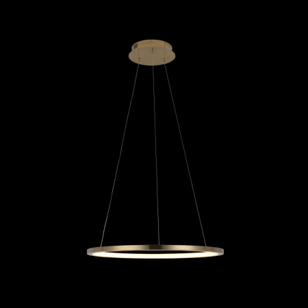 картинка Подвесной светильник светодиодный Ring 10014M от магазина BTSvet