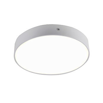 Светодиодный потолочный светильник Flashled 2065-30C